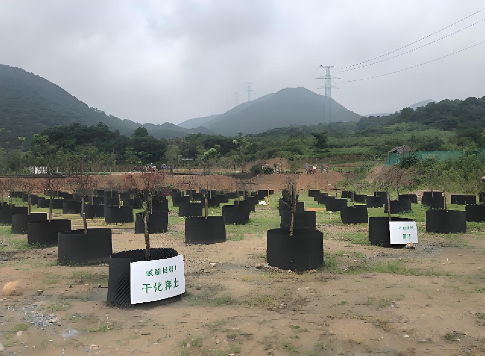 干化建筑渣土容器育苗利用